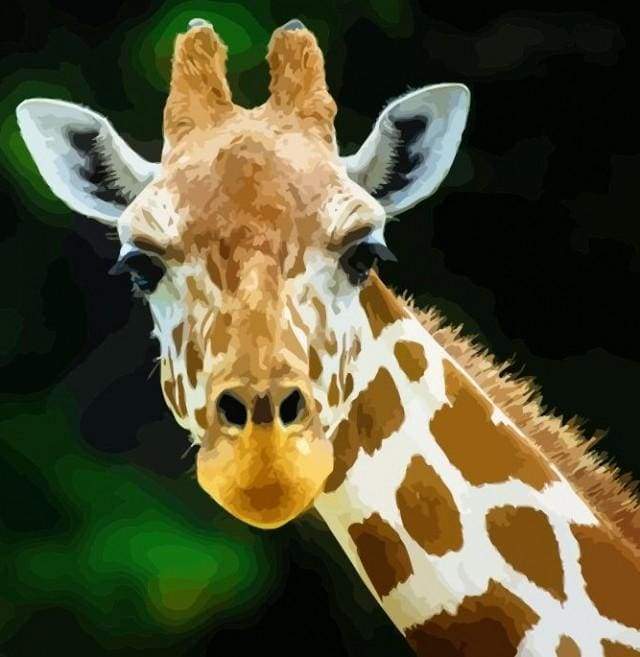 Schilderen op Nummer - Hoofd en nek van giraffe