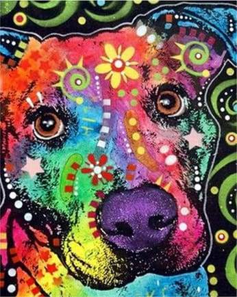 Schilderen op Nummer - Hoofd hond ster