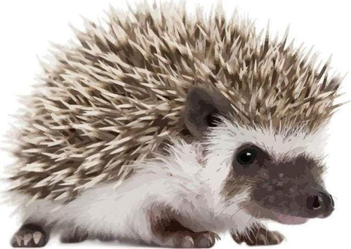 Schilderen op Nummer - Egel