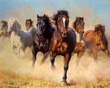 Afbeelding in Gallery-weergave laden, Schilderen op Nummer - Kudde paarden