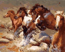 Afbeelding in Gallery-weergave laden, Schilderen op Nummer - Paarden die de rivier oversteken
