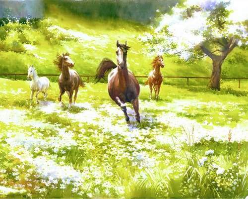 Schilderen op Nummer - Paarden op het platteland