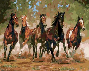 Schilderen op Nummer - Paarden in de Ranch