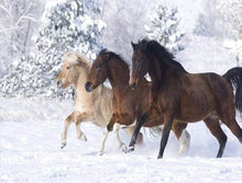 Afbeelding in Gallery-weergave laden, Schilderen op Nummer - Paarden in de wintersneeuw