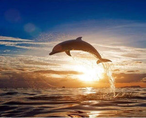 Schilderen op Nummer - Springende dolfijn