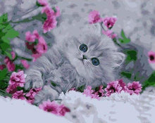 Afbeelding in Gallery-weergave laden, Schilderen op Nummer - Kitten in de bloemen