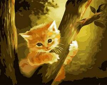 Afbeelding in Gallery-weergave laden, Schilderen op Nummer - Kitten bovenop de boom
