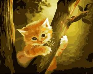 Schilderen op Nummer - Kitten bovenop de boom