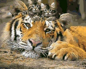 Schilderen op Nummer - Kittens en tijger
