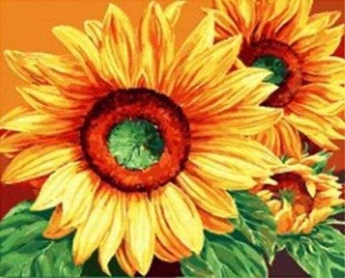 Schilderen op Nummer - Grote Zonnebloemen