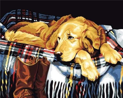 Schilderen op Nummer - Luie Hond