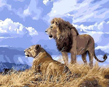 Afbeelding in Gallery-weergave laden, Schilderen op Nummer - Leeuw en leeuwin in Afrika