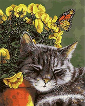 Afbeelding in Gallery-weergave laden, Schilderen op Nummer - Kleine kat en vlinder