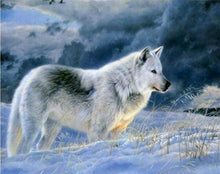 Afbeelding in Gallery-weergave laden, Schilderen op Nummer - Eenzame wolf in de sneeuw