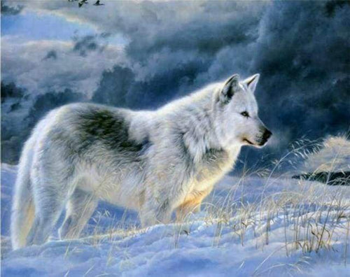 Schilderen op Nummer - Eenzame wolf in de sneeuw