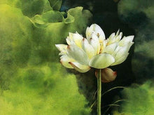 Afbeelding in Gallery-weergave laden, Schilderen op Nummer - Lotus aroma