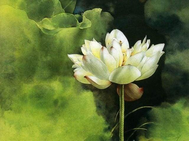 Schilderen op Nummer - Lotus aroma