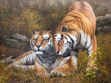 Afbeelding in Gallery-weergave laden, Schilderen op Nummer - Liefdevolle tijgers