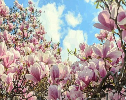 Schilderen op Nummer - Magnolia's