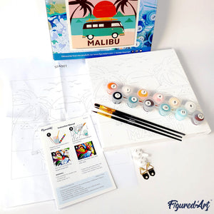 Mini Schilderen op Nummer met Frame - Bultrug walvis