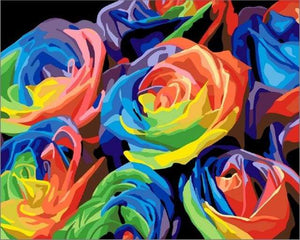 Schilderen op Nummer - Veelkleurige rozen