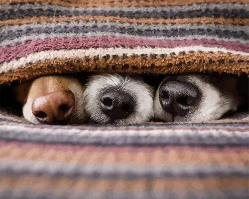 Schilderen op Nummer - Mijn honden