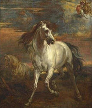 Afbeelding in Gallery-weergave laden, Schilderen op Nummer - Oud paard