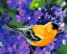 Afbeelding in Gallery-weergave laden, Schilderen op Nummer - Oranje vogel