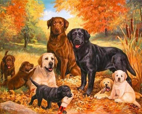 Schilderen op Nummer - Roedel honden