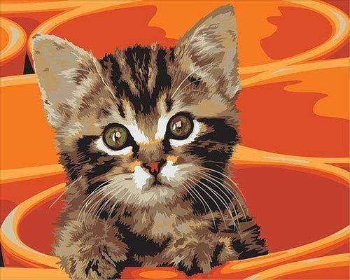 Schilderen op Nummer - Kleine kat schilderen
