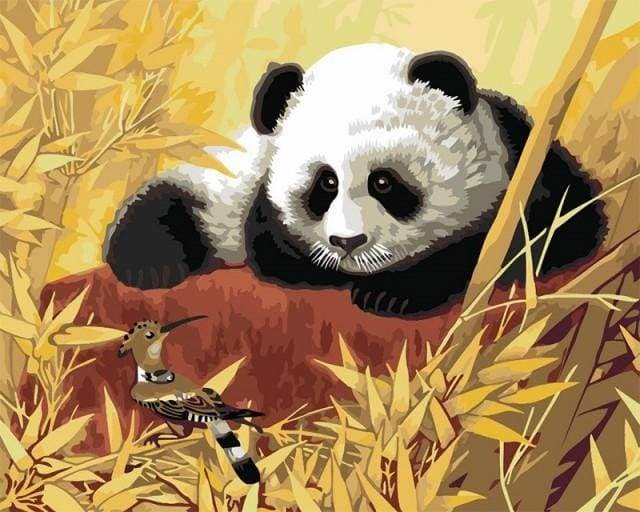 Schilderen op Nummer - Panda en vogel