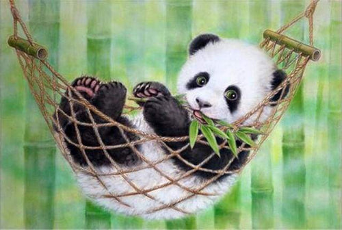 Schilderen op Nummer - Panda en Hamma
