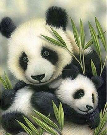 Schilderen op Nummer - Panda paar