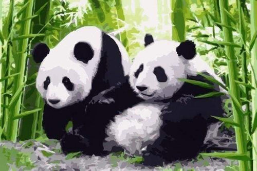 Schilderen op Nummer - Panda's in Japan
