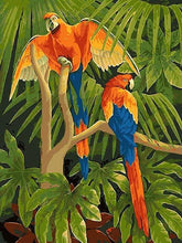 Afbeelding in Gallery-weergave laden, Schilderen op Nummer - Papegaaien in de jungle