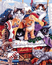 Afbeelding in Gallery-weergave laden, Schilderen op Nummer - Feest met katten