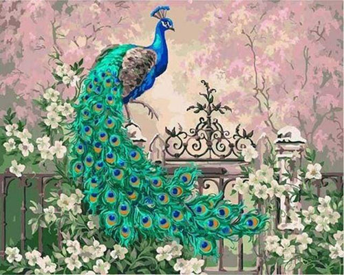 Schilderen op Nummer - Pauw en witte bloemen