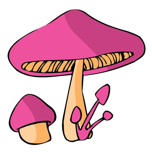 Schilderen op Nummer kinderen - Roze champignon