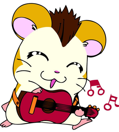 Schilderen op Nummer kinderen - Kat en gitaar