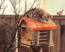 Afbeelding in Gallery-weergave laden, Schilderen op Nummer - neergestreken kat