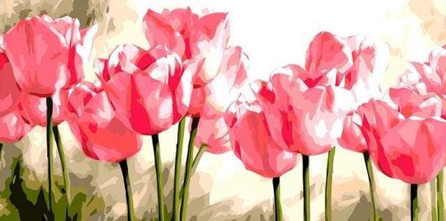 Schilderen op Nummer - Roze Tulpen