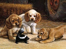 Afbeelding in Gallery-weergave laden, Schilderen op Nummer - Spelende puppy&#39;s