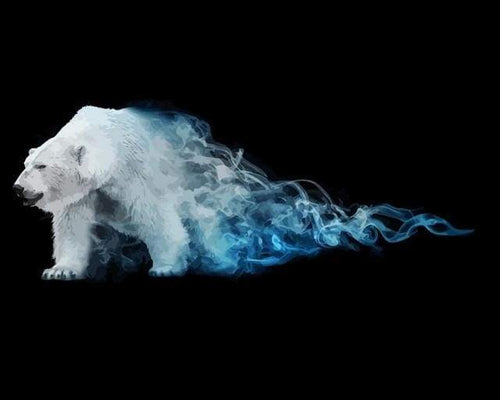 Schilderen op Nummer - Polaire kracht