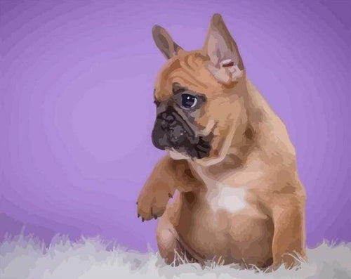 Schilderen op Nummer - Puppy