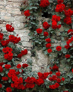 Schilderen op Nummer - Rode rozen