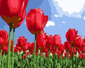 Schilderen op Nummer - Rode Tulpen