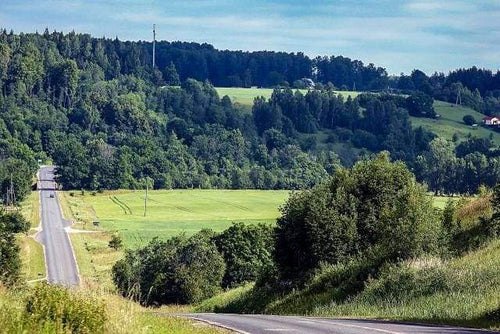 Schilderen op Nummer - Weg op het platteland