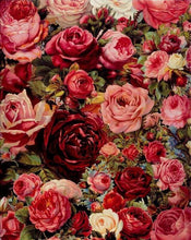 Afbeelding in Gallery-weergave laden, Schilderen op Nummer - Romantische rode rozen