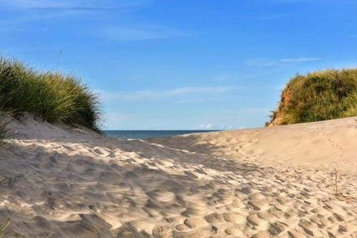 Schilderen op Nummer - Zand