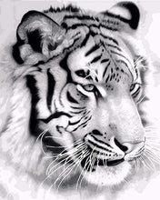 Afbeelding in Gallery-weergave laden, Schilderen op Nummer - Siberische tijger